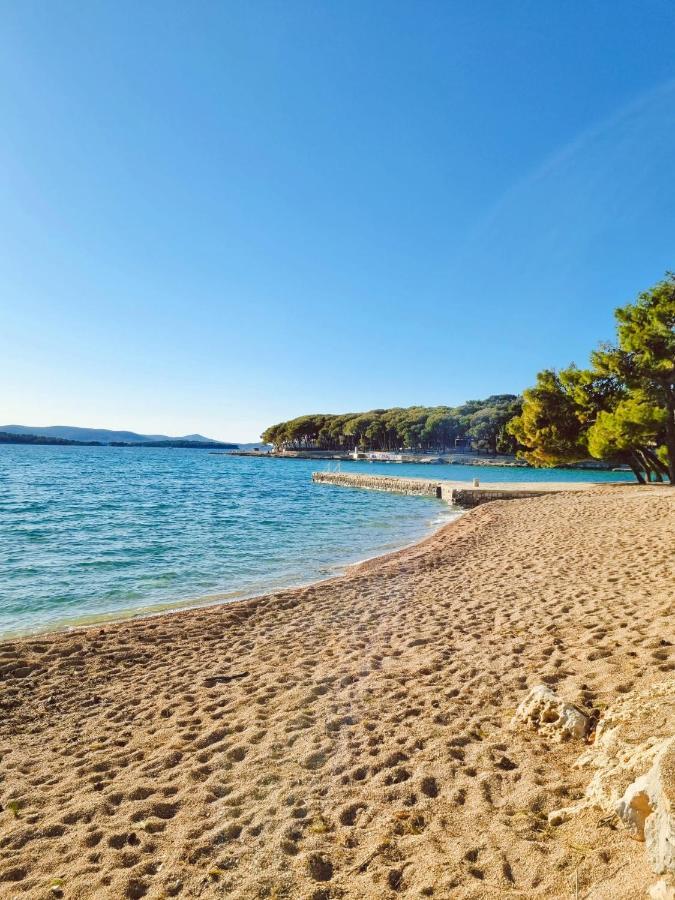 Campsite Sweet - Complet *