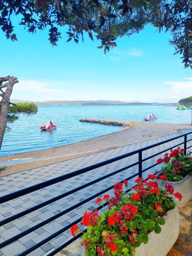 Campsite Sweet - Complet *